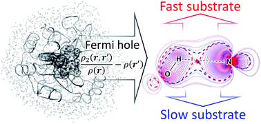 Revealing Electronic Features Governing Hydrolysis Of Cephalosporins In The Active Site Of The L1 Metallo B Lactamase Rsc Advances Rsc Publishing