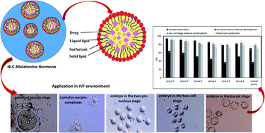 Enhanced Delivery Of Melatonin Loaded Nanostructured Lipid Carriers During In Vitro Fertilization Nlc Formulation Optimization And Ivf Efficacy Rsc Advances Rsc Publishing