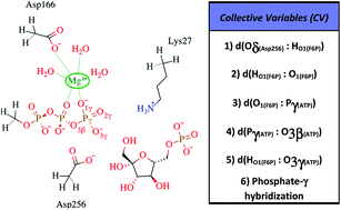 Studying The Phosphoryl Transfer Mechanism Of The E Coli Phosphofructokinase 2 From X Ray Structure To Quantum Mechanics Molecular Mechanics Simulations Chemical Science Rsc Publishing