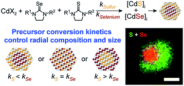 Precursor Reaction Kinetics Control Compositional Grading And Size Of Cdse1 Xsx Nanocrystal Heterostructures Chemical Science Rsc Publishing