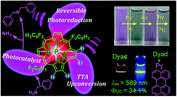 Phosphorus corrole complexes: from property tuning to applications in ...