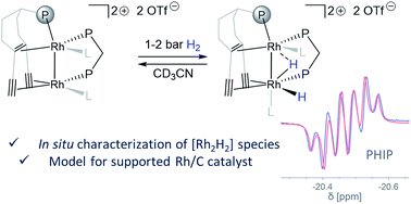 Low Valent Homobimetallic Rh Complexes Influence Of Ligands On The Structure And The Intramolecular Reactivity Of Rh H Intermediates Chemical Science Rsc Publishing