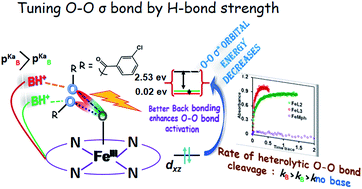 A Designed Second Sphere Hydrogen Bond Interaction That Critically Influences The O O Bond Activation For Heterolytic Cleavage In Ferric Iron Porphyrin Complexes Chemical Science Rsc Publishing