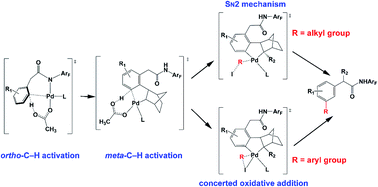 Reaction Mechanism Norbornene And Ligand Effects And Origins Of Meta Selectivity Of Pd Norbornene Catalyzed C H Activation Chemical Science Rsc Publishing