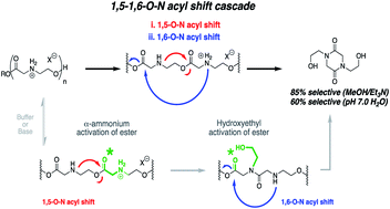 Synthesis And Mechanistic Investigations Of Ph Responsive Cationic Poly Aminoester S Chemical Science Rsc Publishing