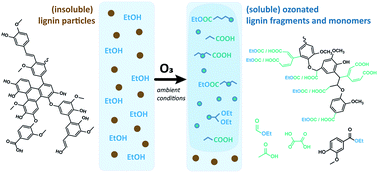 Ozone Mediated Depolymerization And Solvolysis Of Technical Lignins Under Ambient Conditions In Ethanol Sustainable Energy Fuels Rsc Publishing