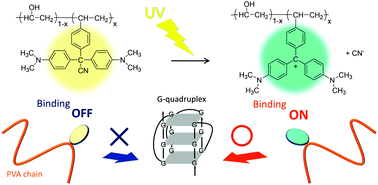 Photoinduced Binding Of Malachite Green Copolymer To Parallel G Quadruplex Dna Soft Matter Rsc Publishing