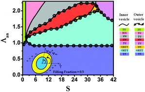 A Theoretical Study On The Dynamics Of A Compound Vesicle In Shear Flow Soft Matter Rsc Publishing