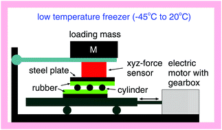 Kinetics of the coefficient of friction of elastomers