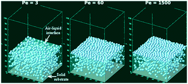 Temporal Evolution Of Concentration And Microstructure Of Colloidal Films During Vertical Drying A Lattice Boltzmann Simulation Study Soft Matter Rsc Publishing