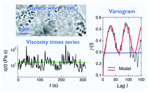 A Mathematical Finance Approach To The Stochastic And Intermittent Viscosity Fluctuations In Living Cells Soft Matter Rsc Publishing