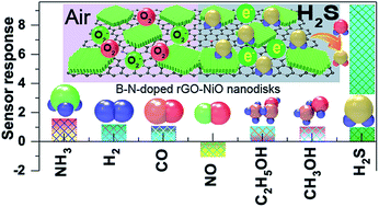 Hierarchical Nanohybrids Of B And N Codoped Graphene Mesoporous Nio Nanodisks An Exciting New Material For Selective Sensing Of H2s At Near Ambient Temperature Journal Of Materials Chemistry A Rsc Publishing