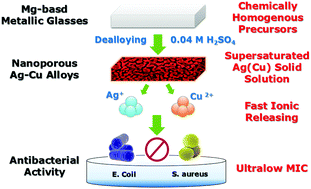 Design And Preparation Of Nanoporous Ag Cu Alloys By Dealloying Mg Ag Cu Y Metallic Glasses For Antibacterial Applications Journal Of Materials Chemistry B Rsc Publishing