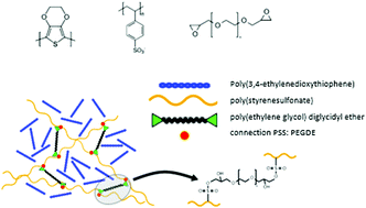 Pedot Pss Interfaces Stabilised Using A Pegylated Crosslinker Yield Improved Conductivity And Biocompatibility Journal Of Materials Chemistry B Rsc Publishing