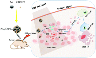 Concurrent photothermal therapy and photodynamic therapy for cutaneous