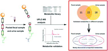 Reliable determination of the main metabolites of 2-phenoxyethanol in human  blood and urine using LC-MS/MS analysis - Analytical Methods (RSC  Publishing) DOI:10.1039/D2AY01407F