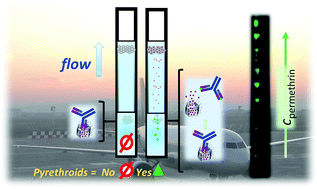 Development Of A Lateral Flow Test For Rapid Pyrethroid Detection Using Antibody Gated Indicator Releasing Hybrid Materials Analyst Rsc Publishing