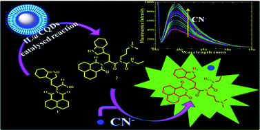 IL@CQD catalyzed active ester rearrangement for the detection and ...