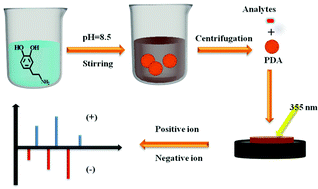 Surface-enhanced laser desorption/ionization mass spectrometry for rapid  analysis of organic environmental pollutants by using polydopamine  nanospheres as a substrate - Analyst (RSC Publishing)