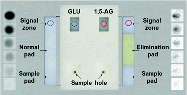 Paper Based 1 5 Anhydroglucitol Quantification Using Enzyme Based Glucose Elimination Analyst Rsc Publishing