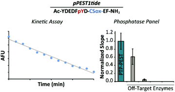 A Fluorescent Probe For Monitoring Ptp Pest Enzymatic Activity Analyst Rsc Publishing
