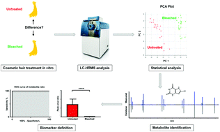 Cheating on forensic hair testing? Detection of potential biomarkers for  cosmetically altered hair samples using untargeted hair metabolomics -  Analyst (RSC Publishing)