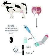 Electrochemical Assay Of Sorbitol Dehydrogenase At Pedot Modified Electrodes A New Milk Biomarker For Confirmation Of Pregnancy In Dairy Cattle Analyst Rsc Publishing