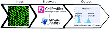 Droplet image analysis with user-friendly freeware CellProfiler ...