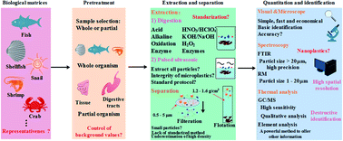 Chemical Analysis of Microplastics and Nanoplastics: Challenges, Advanced  Methods, and Perspectives