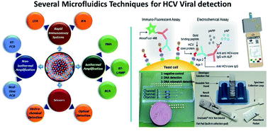 Hepatitis C Virus Hcv Diagnosis Via Microfluidics Analytical Methods Rsc Publishing