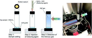 Simple mercury determination using an enclosed quartz cell with cold