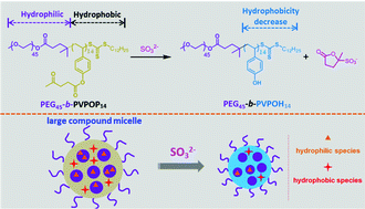 Sulfur Dioxide Signaling Molecule Responsive Polymeric Nanoparticles Biomaterials Science Rsc Publishing