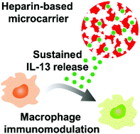 Heparin Based Injectable Microcarriers For Controlled Delivery Of Interleukin 13 To The Brain Biomaterials Science Rsc Publishing