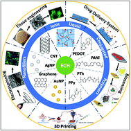 Electro-responsive hydrogels: macromolecular and supramolecular ...