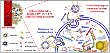 Skillfully Collaborating Chemosynthesis With Gox Enabled Tumor Survival Microenvironment Deteriorating Strategy For Amplified Chemotherapy And Enhanced Tumor Ablation Biomaterials Science Rsc Publishing