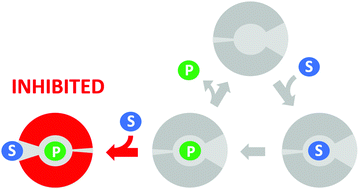 Substrate Inhibition By The Blockage Of Product Release And Its Control By Tunnel Engineering Rsc Chemical Biology Rsc Publishing