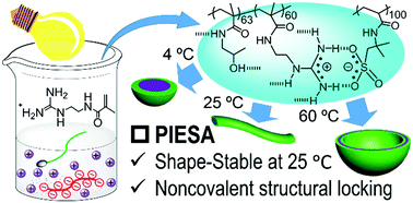 Noncovalent structural locking of thermoresponsive polyion complex ...