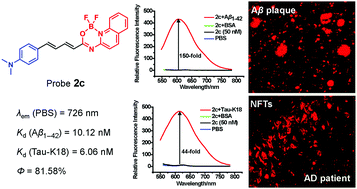 N O Benzamide Difluoroboron Complexes As Near Infrared Probes For The Detection Of B Amyloid And Tau Fibrils Chemical Communications Rsc Publishing
