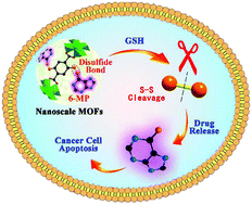 effect of glutathione on blood pressure Combined Citrulline and Glutathione Supplementation Improves Endothelial  Function and Blood Pressure Reactivity in Postmenopausal Women