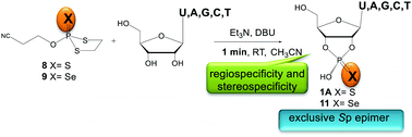 Addressing Regio And Stereo Specificity Challenges In The Synthesis Of Nucleoside 2 3 Cyclic Monophosphate Analogs A Rapid And Facile Synthesis Of Nucleoside 2 3 O O Phosphoro Thioate Or Selenoate And Elucidation Of The Origin Of The Rare