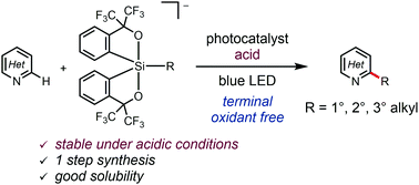 Terminal Oxidant Free Photocatalytic C H Alkylations Of Heteroarenes With Alkylsilicates As Alkyl Radical Precursors Chemical Communications Rsc Publishing