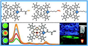 Leveraging synthetic chlorins for bio-imaging applications - Chemical ...