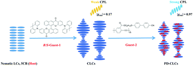 Strong CPL of achiral liquid crystal fluorescent polymer via the ...