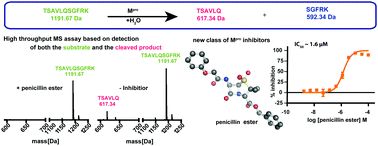 Mass Spectrometry Reveals Potential Of B Lactams As Sars Cov 2 Mpro Inhibitors Chemical Communications Rsc Publishing