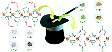Investigation On The Interconversion From Dmf Solvated To Unsolvated Copper Ii Pyrazolate Coordination Polymers Crystengcomm Rsc Publishing
