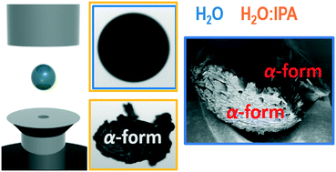 Selective Polymorphism Of A Glycine By Acoustic Levitation Crystengcomm Rsc Publishing