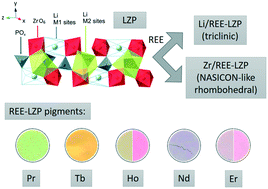 Influence of rare earth elements (REEs) on the structure ...