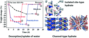 Hydrates of adenosine 3′,5′-cyclic monophosphate sodium and their ...
