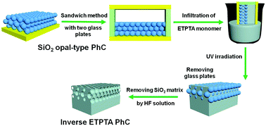 Photonic crystal enhancement of Raman scattering - Physical Chemistry ...