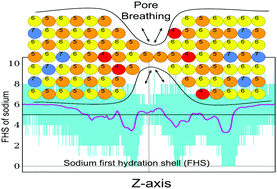 The Mechanism And Energetics Of A Ligand Controlled Hydrophobic Gate In A Mammalian Two Pore Channel Physical Chemistry Chemical Physics Rsc Publishing